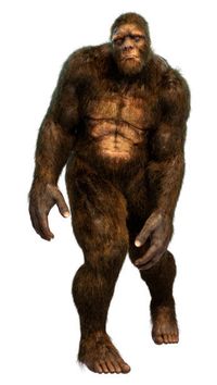 13) FIGURA DEL YETI